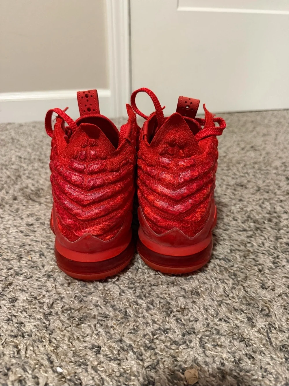 Used Lebron 17 basketball shoes